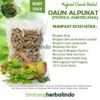 Kapsul Obat Herbal Ekstrak Daun Alpukat (Avokad) Isi 100