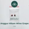 benih bibit anggur hitam bijian